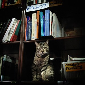 petra-s-international-bookshop