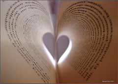 2924685145_d594bc6627_m