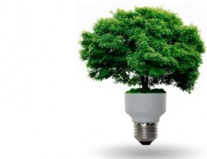 Fuente: http://www.energias-renovables.com/