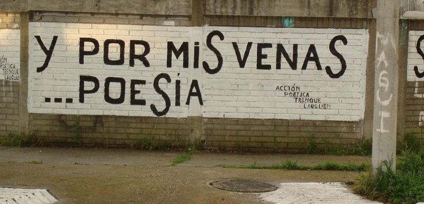 Fuente: Acción Poética