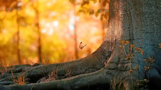 Fuetne: delobosytortugas.blogspot.com